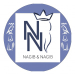 Zahnarztpraxis Dina Nagib & Tarek Nagib - Logo